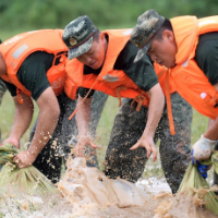 铸抗洪精神 护江河安澜