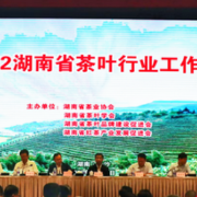 “科技+品牌”双擎驱动  “五彩湘茶”产值突破千亿