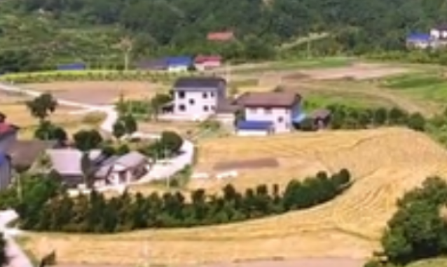 张家界市：燕子啄泥“啄”出美好乡村生活
