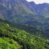 湖南林业“十四五”答卷丨生态富民:预计2025年实现林业产业总产值6142亿元