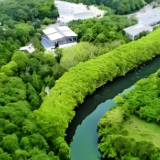 湖南林业“十四五”答卷丨截至2024年底，全省森林覆盖率达54.11%