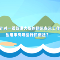 汛来问江河 | 岳阳市如何做好一线大堤“体检”，助力防洪能力提升？