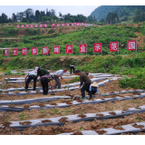 交水建集团：一套“交•水•建”组合拳  “头痛村”变“放心村”