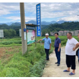 湘电集团：绘就美丽乡村新画卷