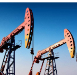 《中国油气产业发展分析与展望报告蓝皮书（2019-2020）》发布