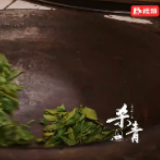 视频丨一品千年  逐味黑茶