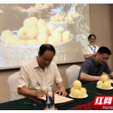 中国石化湖南石油签下350万炎陵黄桃销售订单