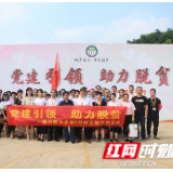 湖南发展集团康乃馨公司党支部开展“党建引领、助力脱贫”主题党日活动