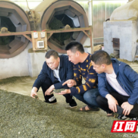 湘水集团扎实开展“我为群众办实事”实践活动，助推乡村振兴工作