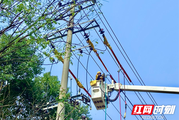 12月9日，大型综合电缆不停电作业现场，带电作业人员接入旁路电缆。