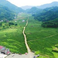湖南旅游发展公司党史学习教育着力“三个注重” 助推企业发展