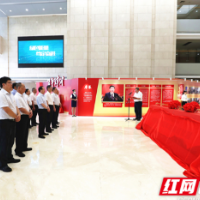 国网湖南电力举办庆祝建党百年发展成就展