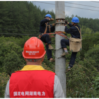 国网桂东县供电公司：全力投入防汛抗洪抢险工作