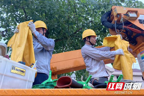 7月12日，国网桃源供电公司带电作业班员工在35千伏三叉港变电站工作结束后清理作业工器具。任丽华 摄