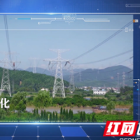 万套可视化装置助力线路安“疫”度“夏”