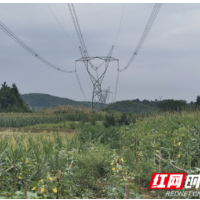 “智慧监督”开启输电线路通道治理“三新”局面