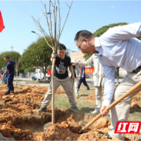 大唐华银攸县能源公司开展“绿色低碳、美丽攸能”义务植树主题党日活动