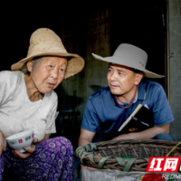 坚守，只为那方山水的美好——记2020年度“常德市最美扶贫人物”唐力平