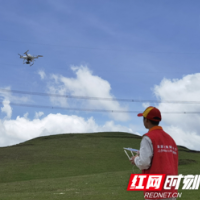 无人机专项巡检 迎峰度夏“不掉链子”