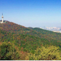 社烟融合 共建家园——湖南烟草商业系统党建工作融合社区共建工作侧记