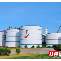 这十件大事！见证湖南轻盐融化自我 造福社会