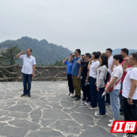 湖南旅发公司第一党支部开展主题党日活动