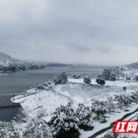 以雪为令 五凌电力积极应对今年第一轮低温暴雪天气