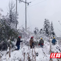 国网保靖县供电公司开展线路特巡测温 积极应对雨雪保电网安全