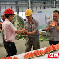 湘煤立达公司：激发工会能量 为高质量发展注入强劲动力