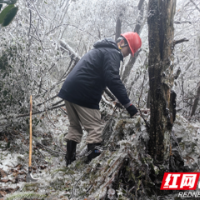 国网湖南超高压输电公司风雪无阻保供电