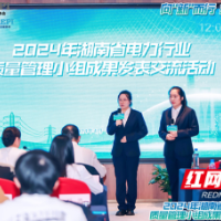 2024年湖南省电力行业质量管理小组成果发表交流活动举办
