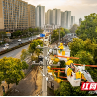 春检攻坚丨星电集团带电作业公司开展整线集中消缺作业