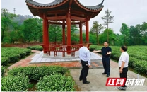 从“蓝图”到“实景”：湖南省水电设计院这样把乡村振兴“画”出来