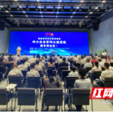  湖南专家志愿者服务中小企业系列公益活动启动