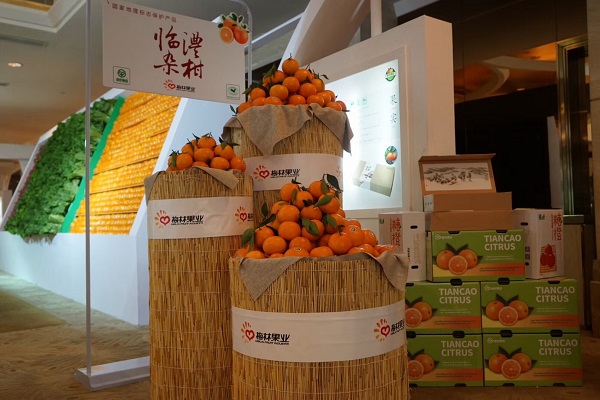 项目产0品图.jpg
