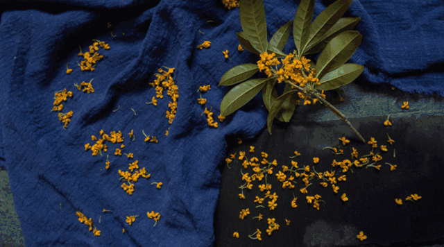 93c7c2393b96672af8c1c490a206dfa3.gif 93c7c2393b96672af8c1c490a206dfa3.gif