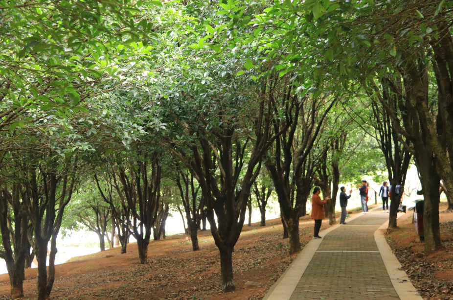 2e8a1e7b-be4c-4912-b1c0-1c1cab6f06b3.png 2e8a1e7b-be4c-4912-b1c0-1c1cab6f06b3.png