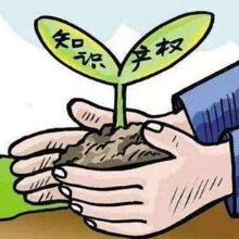 知识产权保护还高骼乳业清朗空间