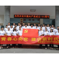 视频 | 湖南省红十字会机关团委组织开展“献礼七一、向党表白”活动
