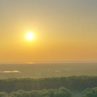 守护好“生物基因库”