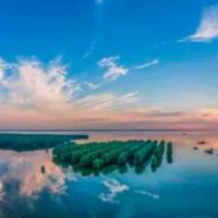 一江碧水向东流——湖南推动长江经济带高质量发展综述之二