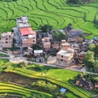 湖南乡村设施建设有限公司：“23456党建工作法”引领高质量发展