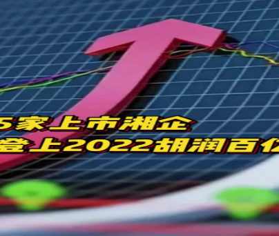 5家上市湘企登上2022胡润百亿潜力榜
