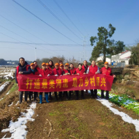 浏阳经开区：一个“龙头”链起上百家配套企业