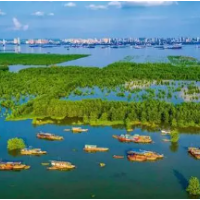 3593项！“2022年夏季攻势”任务清单出炉 启动洞庭湖总磷污染控制与削减攻坚三年行动