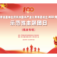 湖南省直单位庆祝建团100周年示范性主题团日活动（机关专场）在省统计局举办