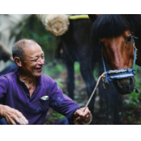 鹞子尖古道，一首茶商旅人的叙事诗