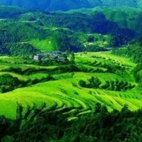 湖南省水利厅修订印发《湖南省生产建设项目水土保持监督管理办法》