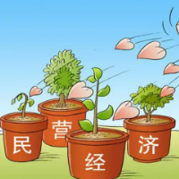 人民日报:民营经济只能壮大、不能弱化