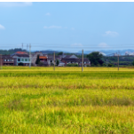 欧阳海灌区：坚持数字孪生赋能 助力现代化灌区建设